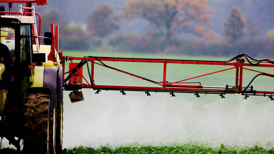 Fruits, légumes et céréales : toujours plus de pesticides en France
