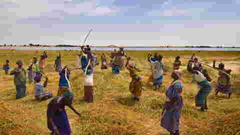 Slow Food et la FAO au chevet de l’agriculture africaine