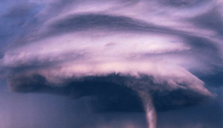 Comment Les Oiseaux Pressentent L Arrivee Des Tornades Geo Fr