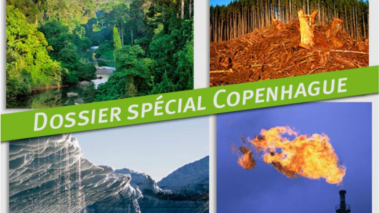 Copenhague : 3,5 milliards de dollars contre la déforestation