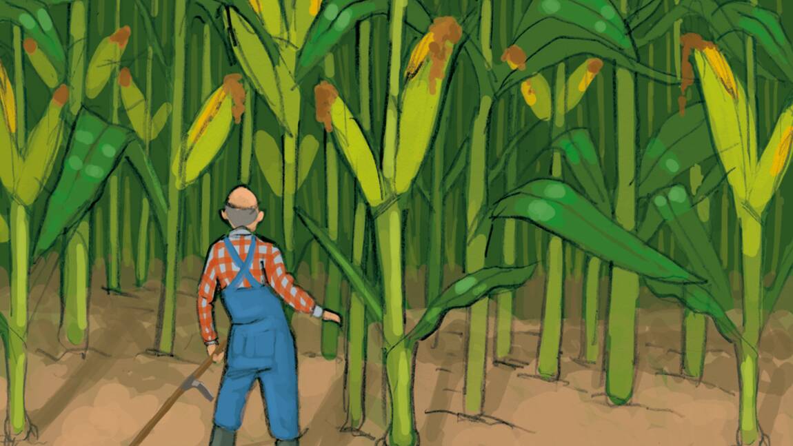Les OGM, qu’est-ce que c’est ?