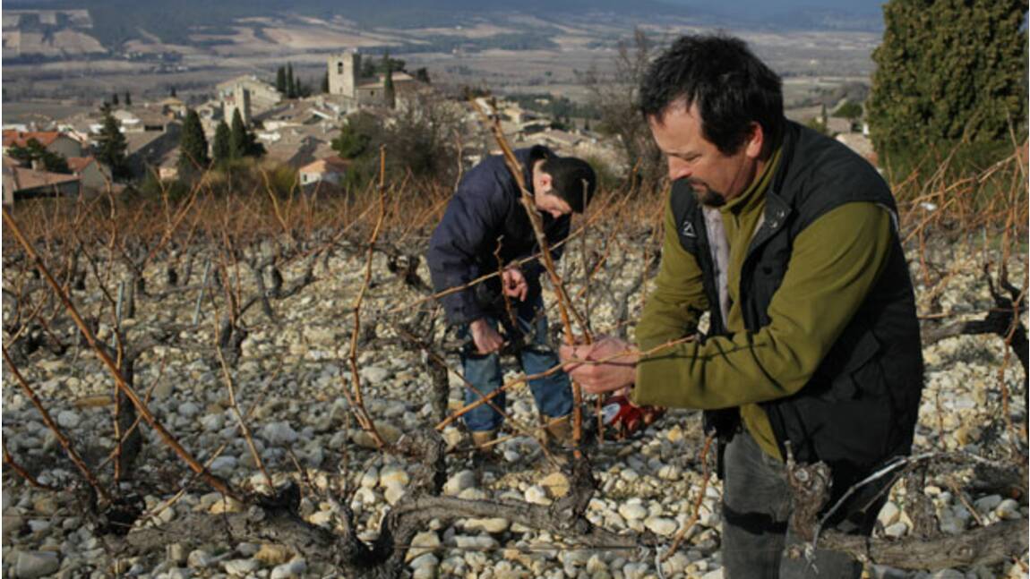 Provence : les précurseurs du bio font partie du paysage (2/6)