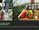 AMAP : Association pour le Maintien de l'Agriculture Paysanne