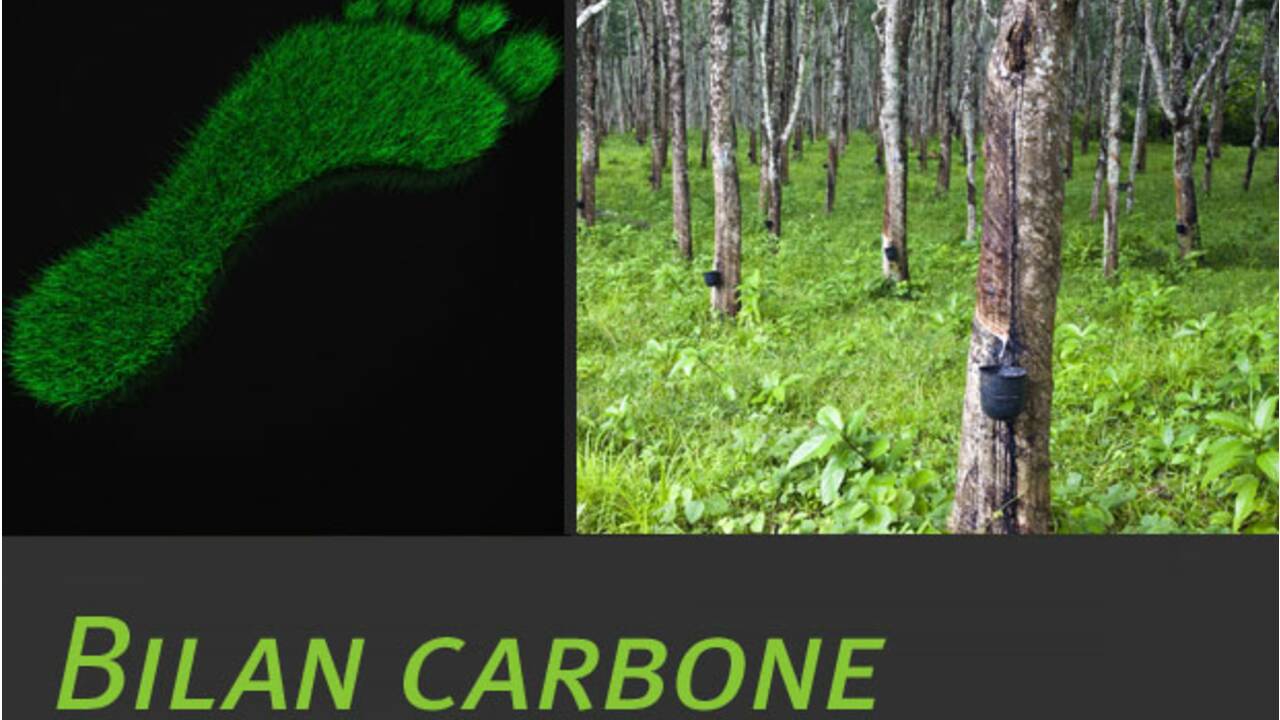 Bilan carbone® : GEO s’engage pour l’environnement