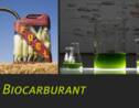 Le biocarburant : qu'est-ce que c'est ?