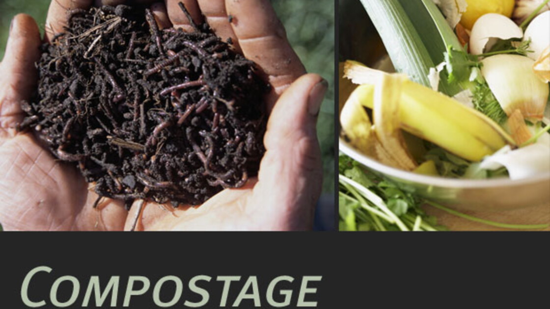 Le compost, qu'estce que c'est ? Geo.fr
