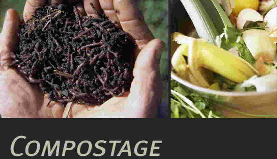 Est-ce que le sopalin est compostable ?