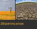 La désertification : qu'est-ce que c'est ?