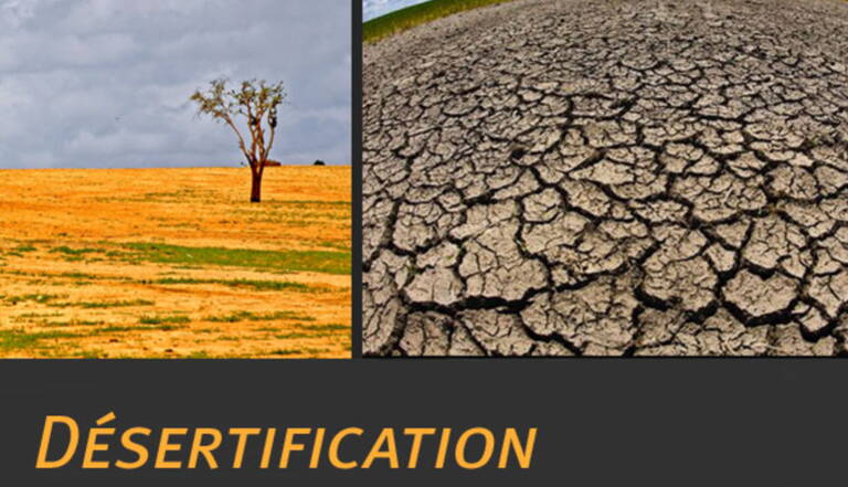 La Desertification Qu Est Ce Que C Est Geo Fr