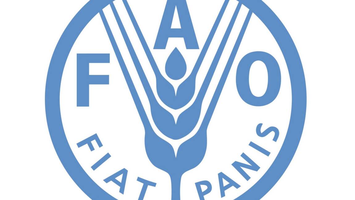 La FAO, qu'est-ce que c'est ?