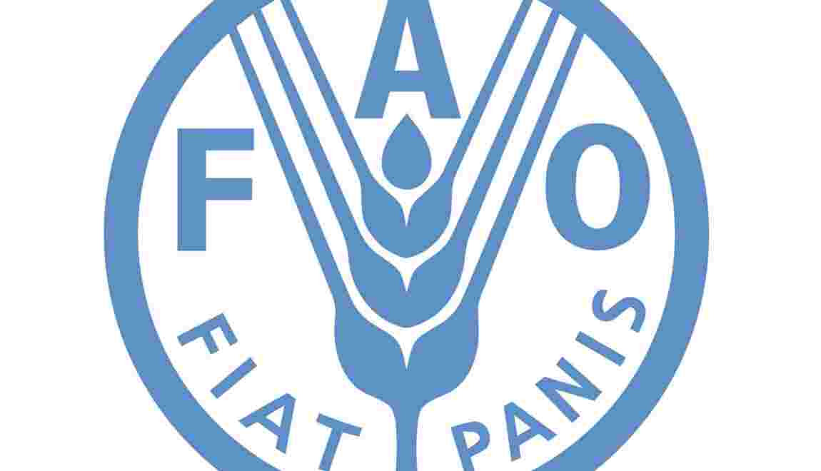 Di Cosa Si Occupa La Fao La FAO, qu'est-ce que c'est ? - Geo.fr