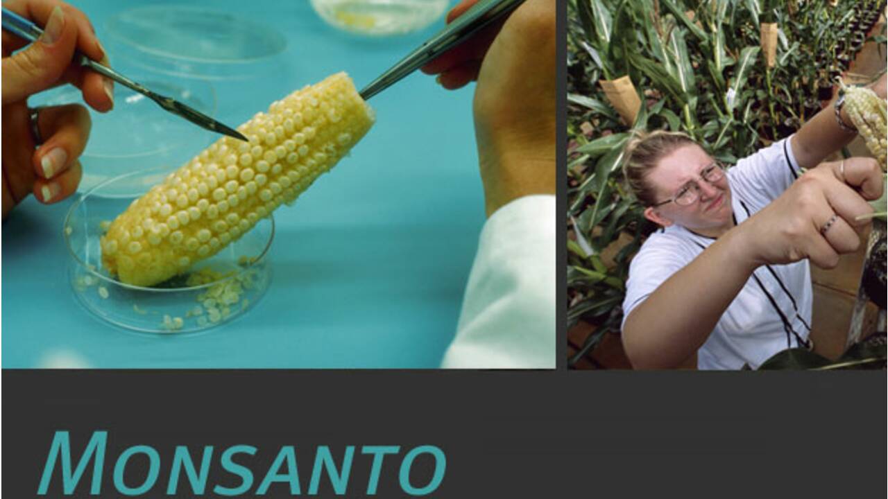 Monsanto : Qu'est-Ce Que C'est ? - Geo.fr