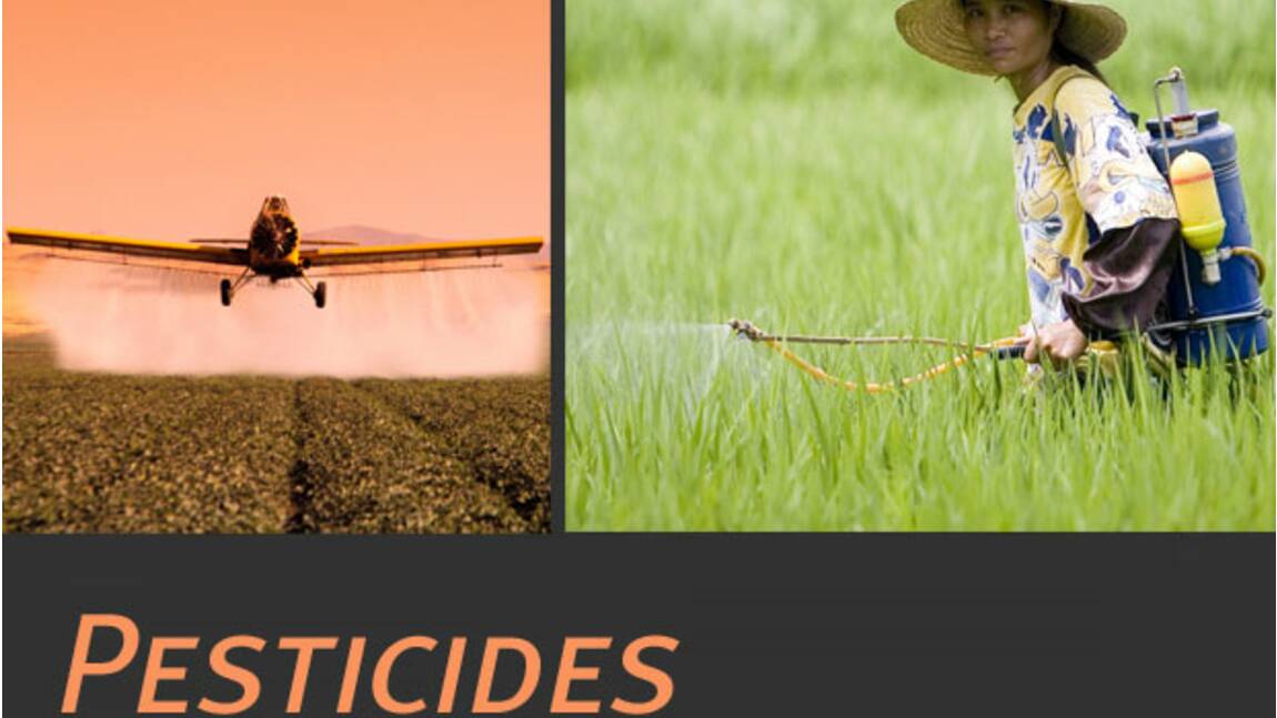 Les Pesticides : qu’est-ce que c’est ?