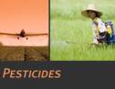 Les Pesticides : qu’est-ce que c’est ?