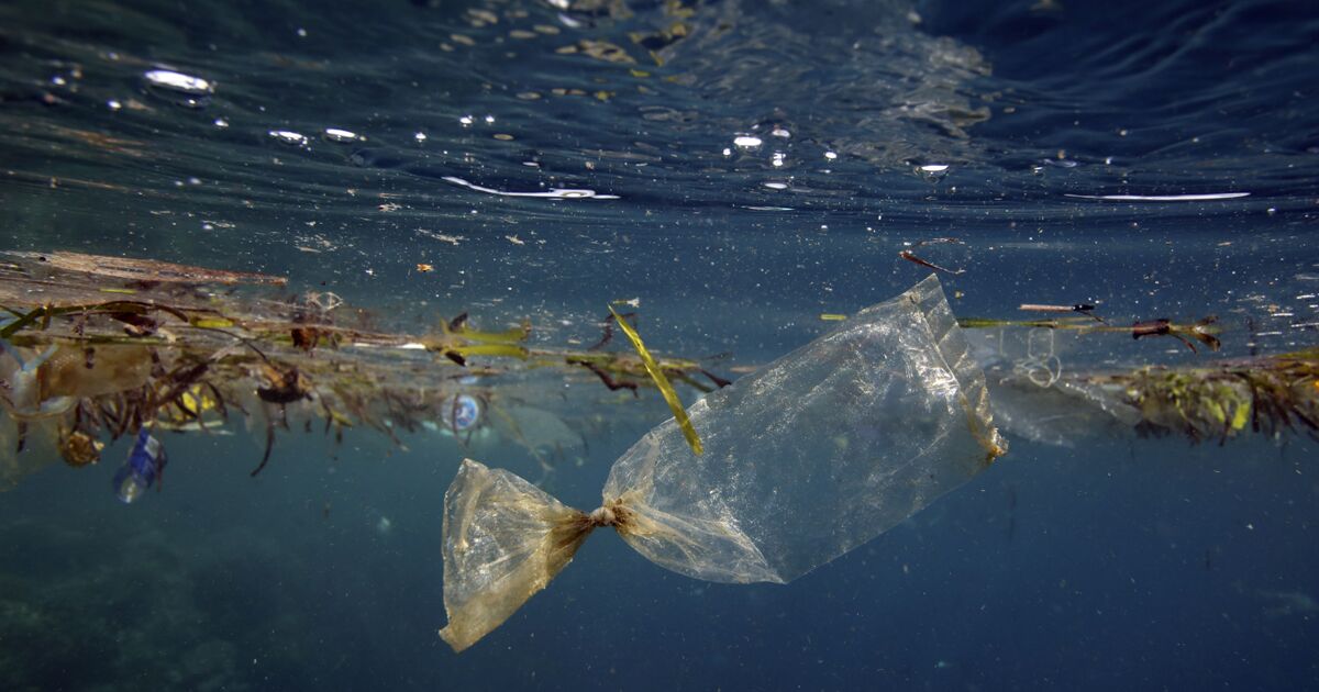 7e continent de plastique : qu'est-ce que le vortex de déchets du ...