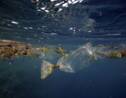 Océan de plastique : qu'est-ce que le vortex de déchets du Pacifique nord ?