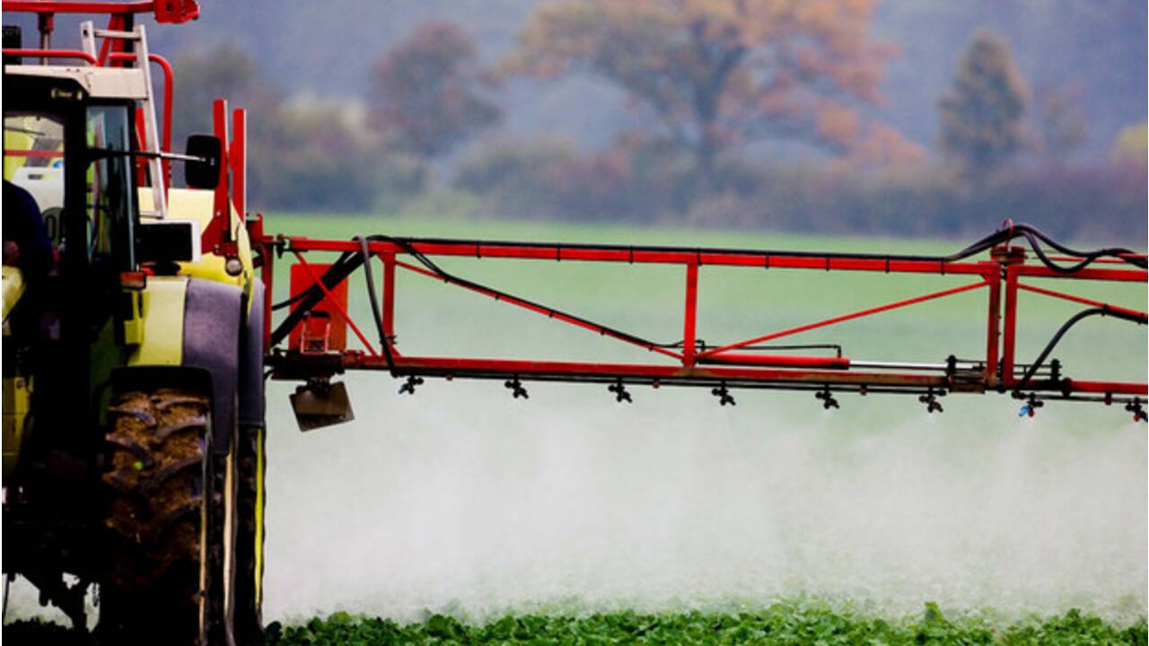Pesticides : tout savoir sur les pesticides