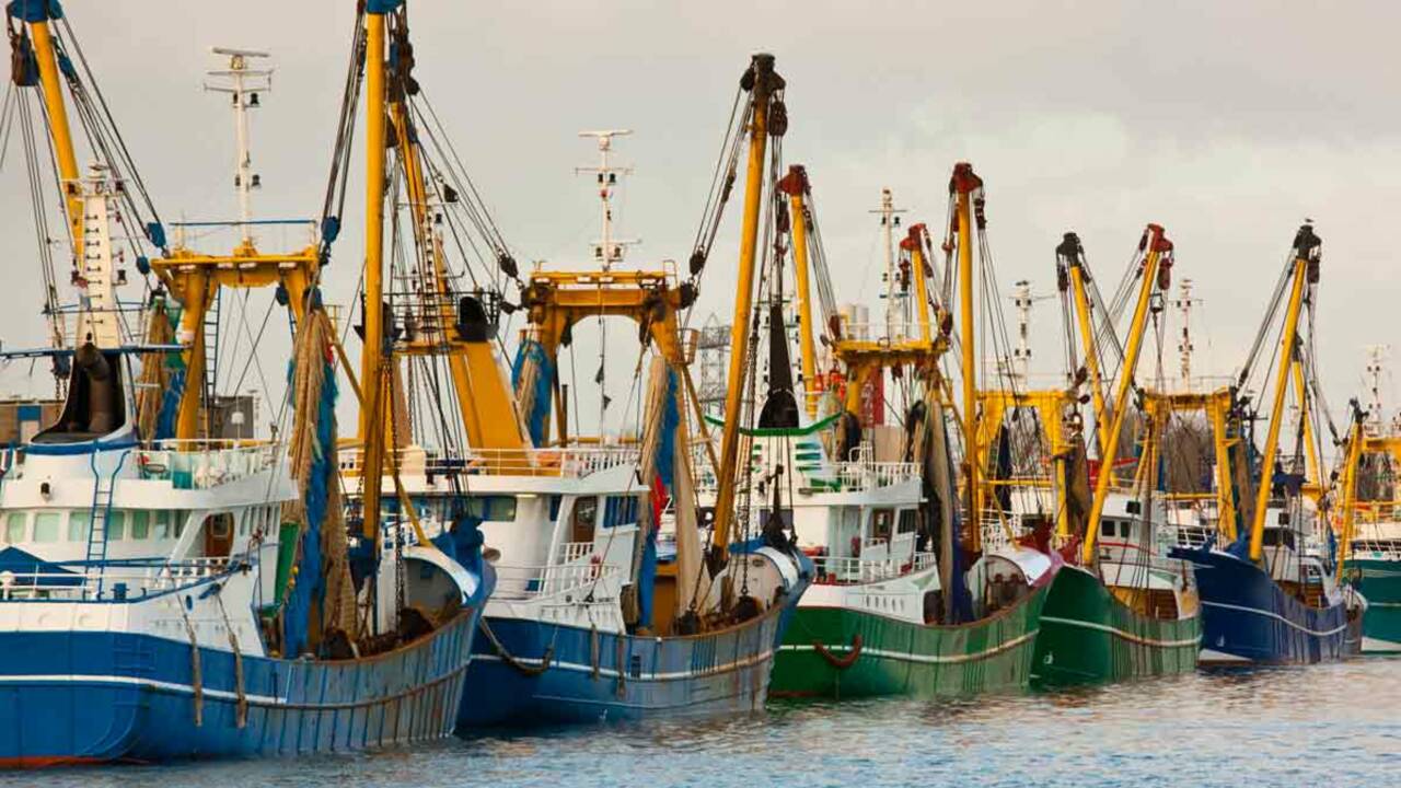 Faut-il interdire la pêche en eaux profondes en France ?