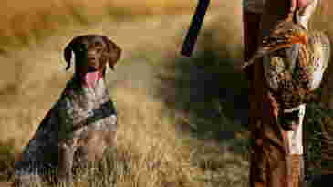 Les archéologues ont peutêtre trouvé le sanctuaire de Poséidon de