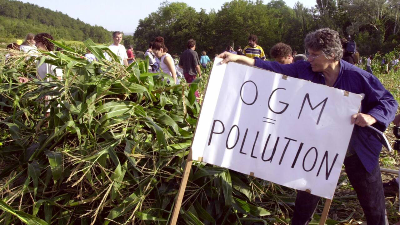 Culture des OGM : faut-il consulter les citoyens par un référendum ?