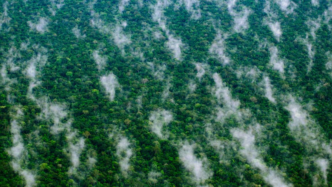 Pétrole : pour le forage au détriment des Indiens d’Amazonie ?