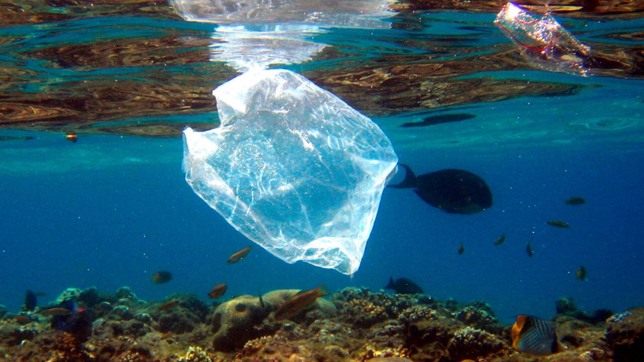 Tourbillon d’ordures sur le Pacifique : doit-on intervenir ?