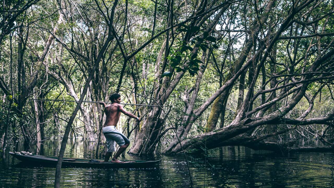 Amazonie : le paradis vert des "caboclos"