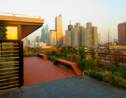 A Shanghai, un hôtel qui compense ses émissions de CO2