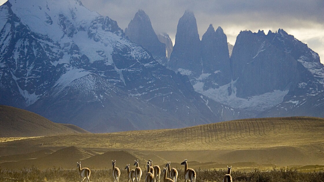 Argentine Cap Vers La Terre De Feu Geo Fr