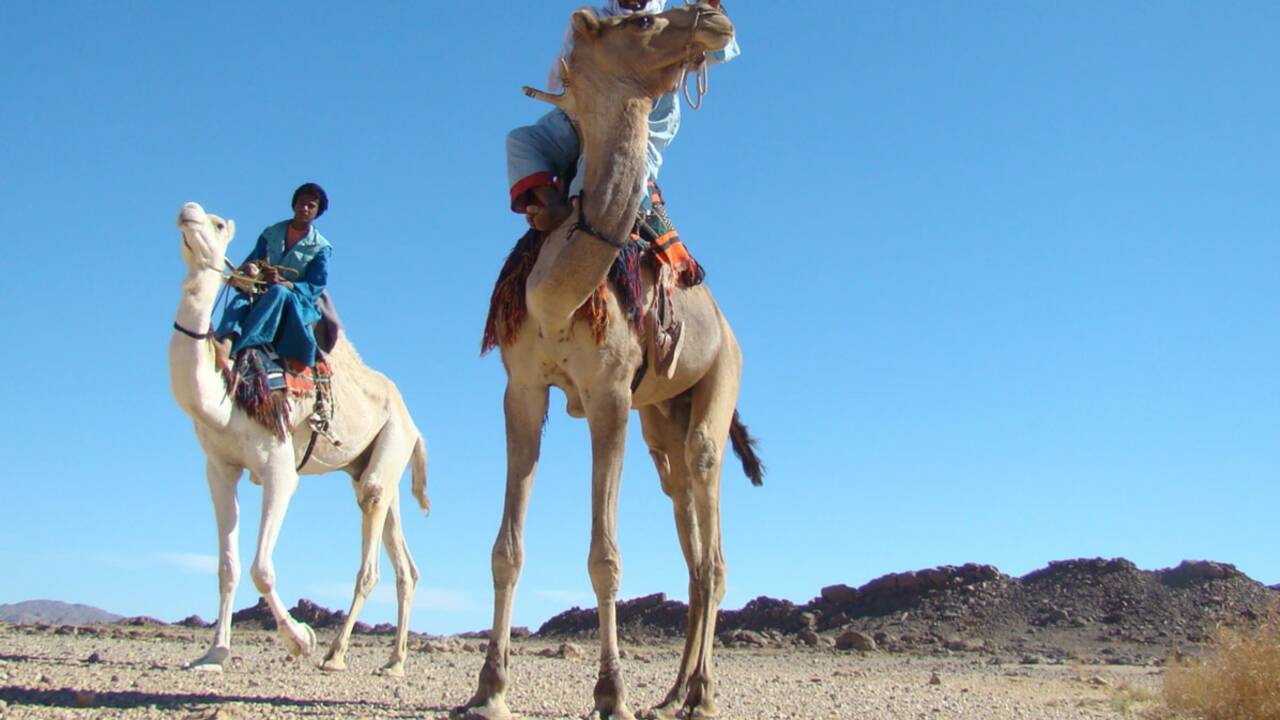 Tourisme solidaire dans le désert algérien