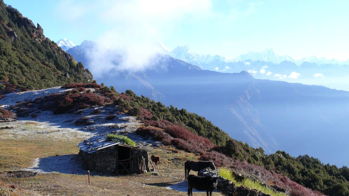 Népal : trek sur les contreforts de l’Himalaya