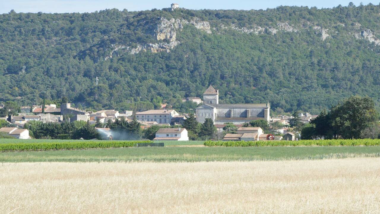 Saint-Paul-Trois-Châteaux, la plus belle vue sur la vallée du Rhône