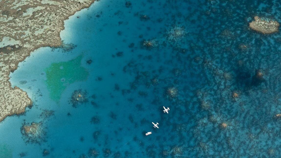 La Grande Barrière de corail : le péril et l'espoir