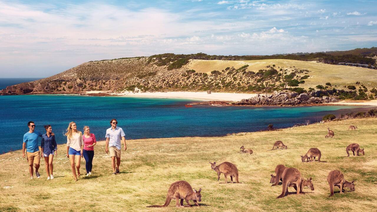 Kangaroo Island, la nature à l'état pur