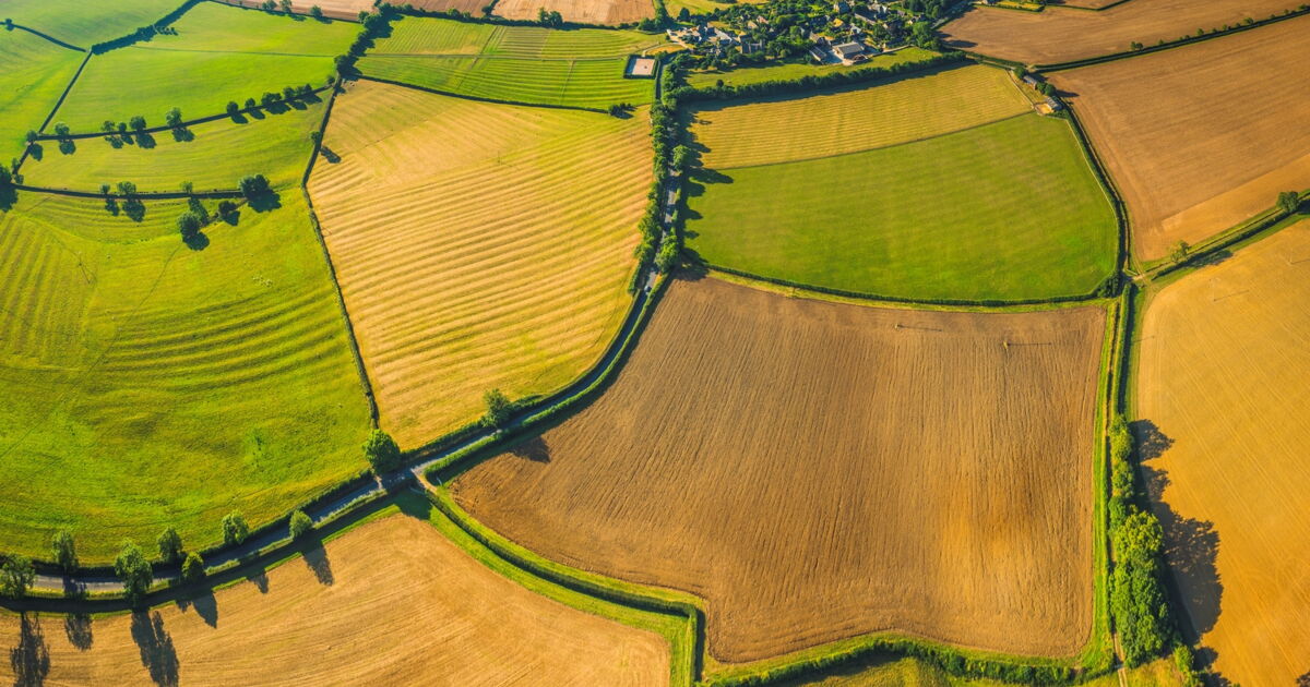 Terre arable le pillage des ressources agricoles Geo.fr
