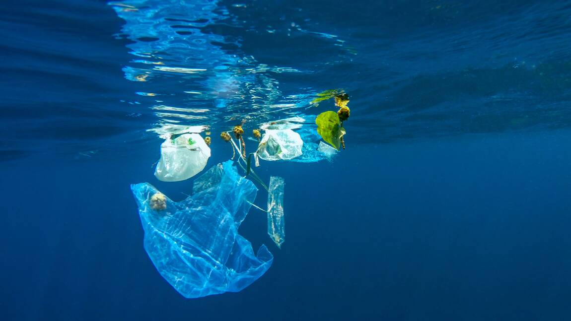 Un sac plastique chilien 100% biodégradable en cinq minutes
