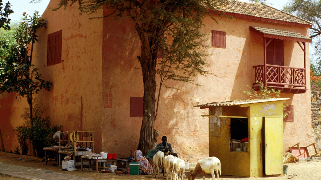 L'île de Gorée, au Sénégal : la magnifique Afrique de Christiane Falgayrettes-Leveau