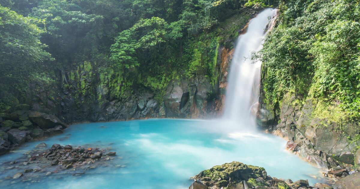 Le Costa Rica, champion de la diversité - Geo.fr