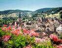 PHOTOS - La France nature : l'Alsace et la Lorraine
