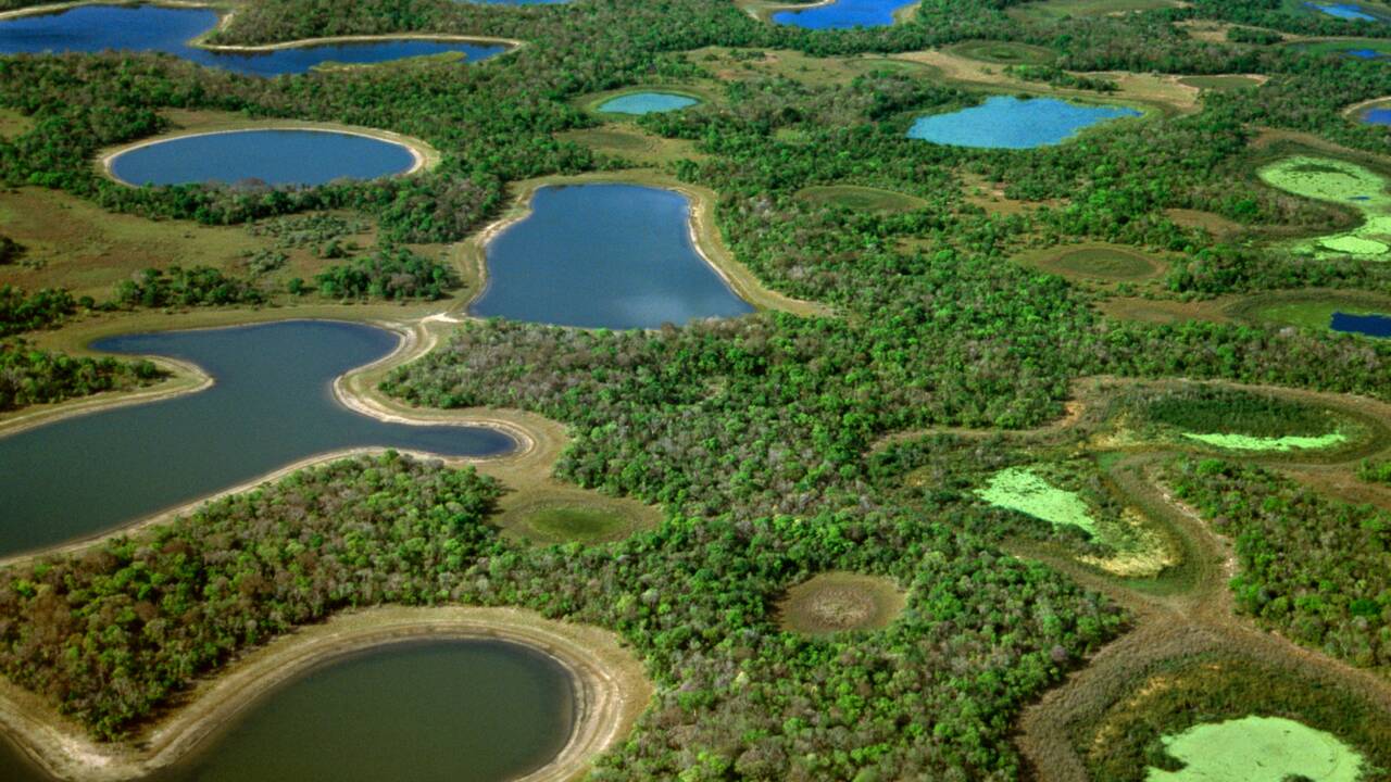 Brésil : nos conseils pratiques pour aborder le Pantanal