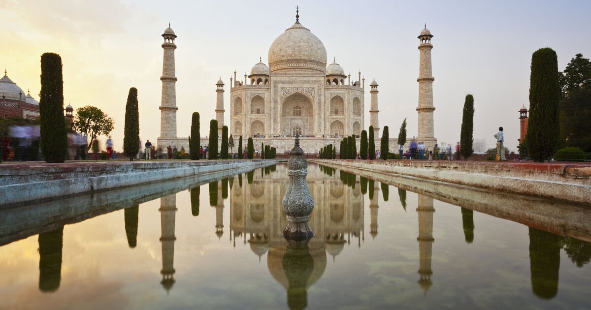 Bienvenue Au Palais De L Amour Scan Vf