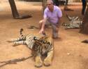 Immersion dans le très controversé "temple des tigres" en Thaïlande