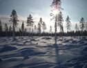 PHOTOS : Rêve d'hiver en Laponie