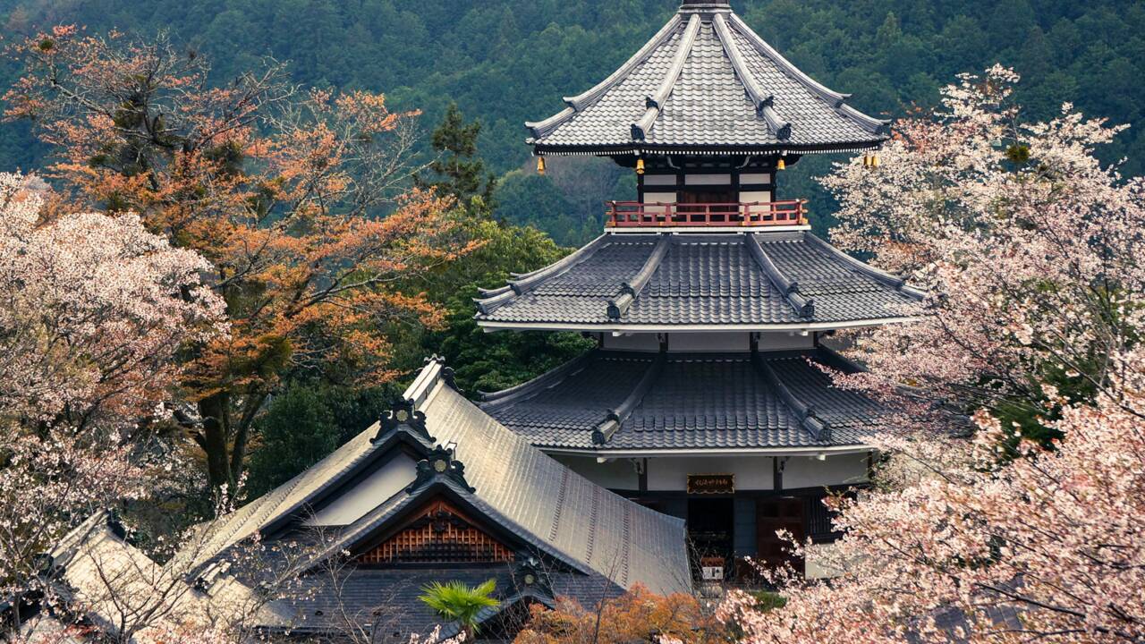 Au Japon, pèlerinage sur les monts fleuris de Kii