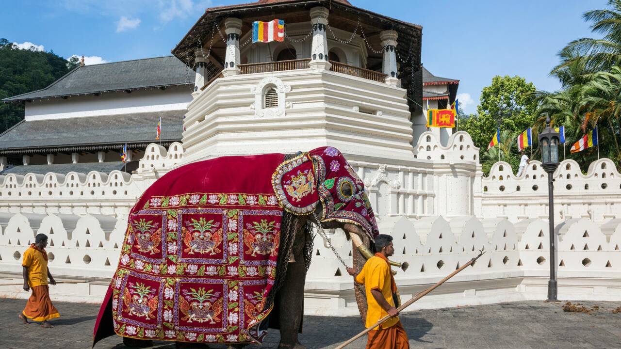 Sri Lanka : Kandy, la cité des éléphants