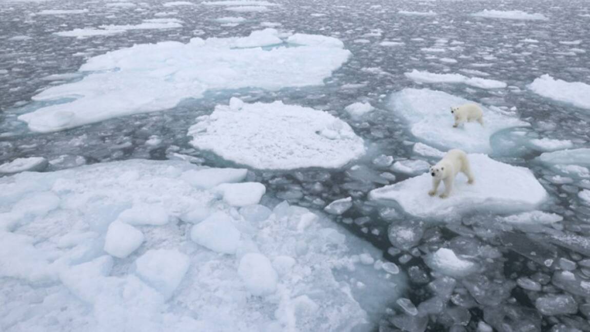 "Ce qui se passe en Arctique n'est qu'un aperçu de ce qui attend la planète"