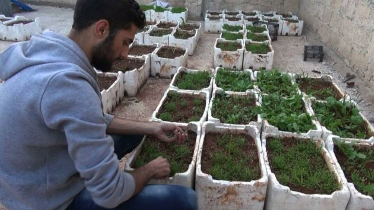 A Alep, la débrouille des Syriens pour faire face au siège