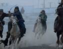 Afghanistan: chevaux du bouzkachi, bêtes de scène et de guerre