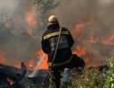 Afrique du Sud: Les feux de forêt continuent près du Cap