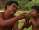 Amazonie : la tribu Waiapi, un voyage entre deux mondes